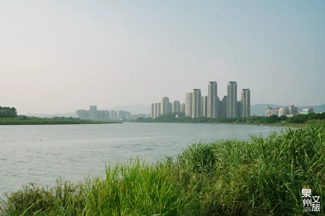 �ǽ�ˮī����2�½��O�M��